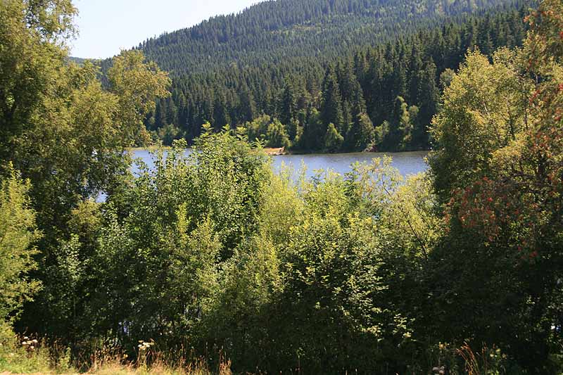 Fkk schluchsee Homosexuell Cruising